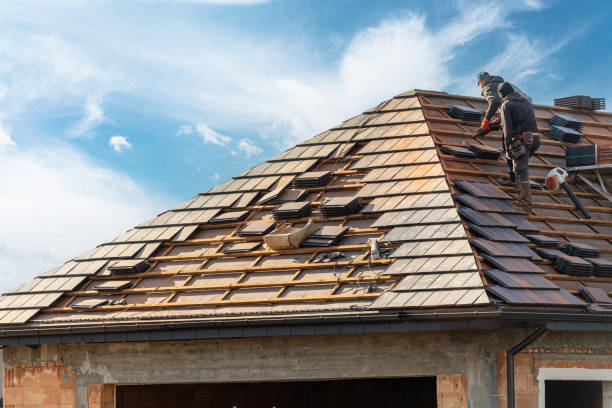Best Roof Ventilation Installation  in Black Creek, WI